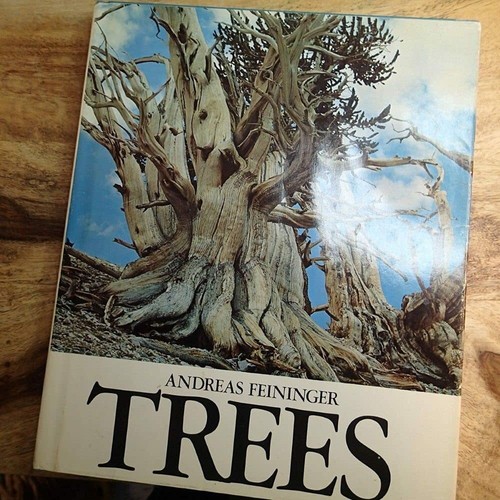 Trees buch studio - trees,