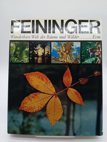 Wunderbare welt der bäume und - der,